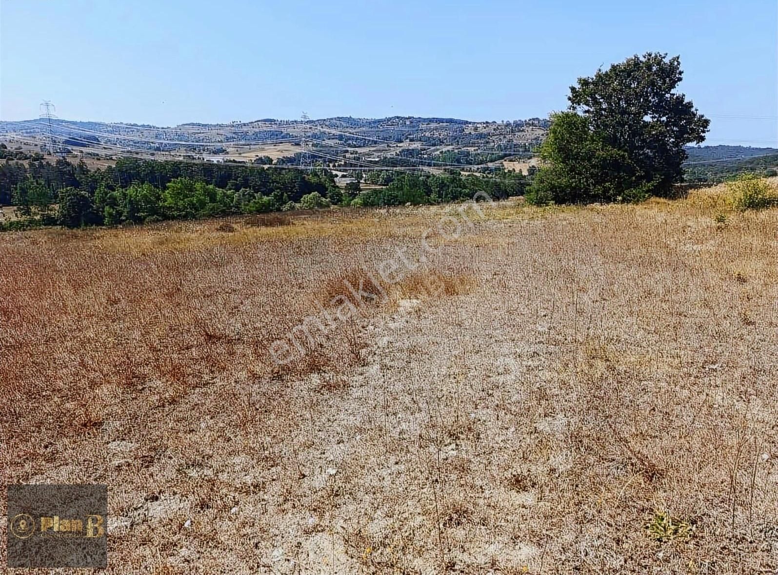 Kocaeli Bulduk Köyünde 6382 M² Yatırımlık Fırsat