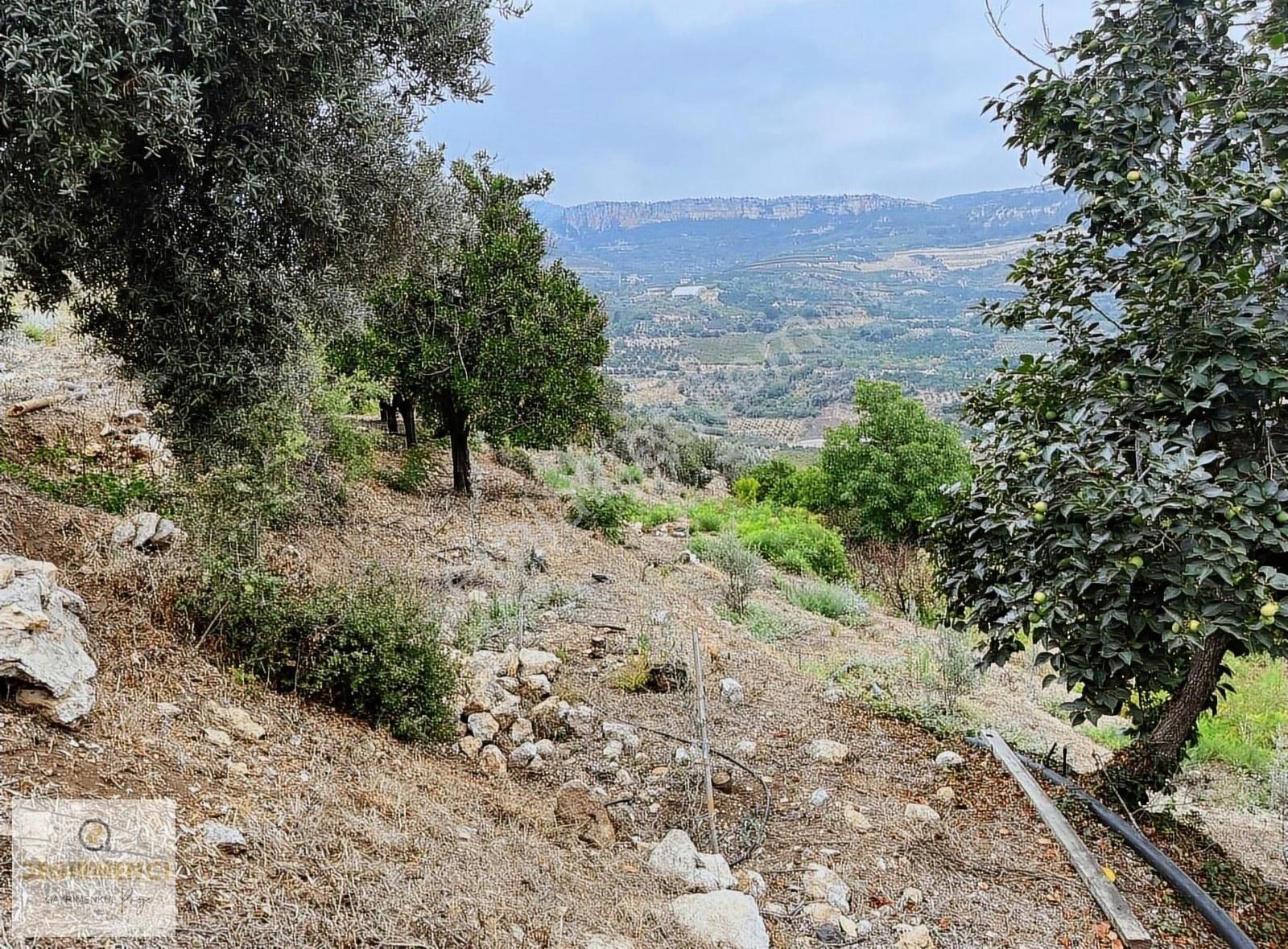 Değirmenciden Uzunkaş Da Satılık Muhteşem Manzaralı 3358m2 Bahçe - Görsel 16