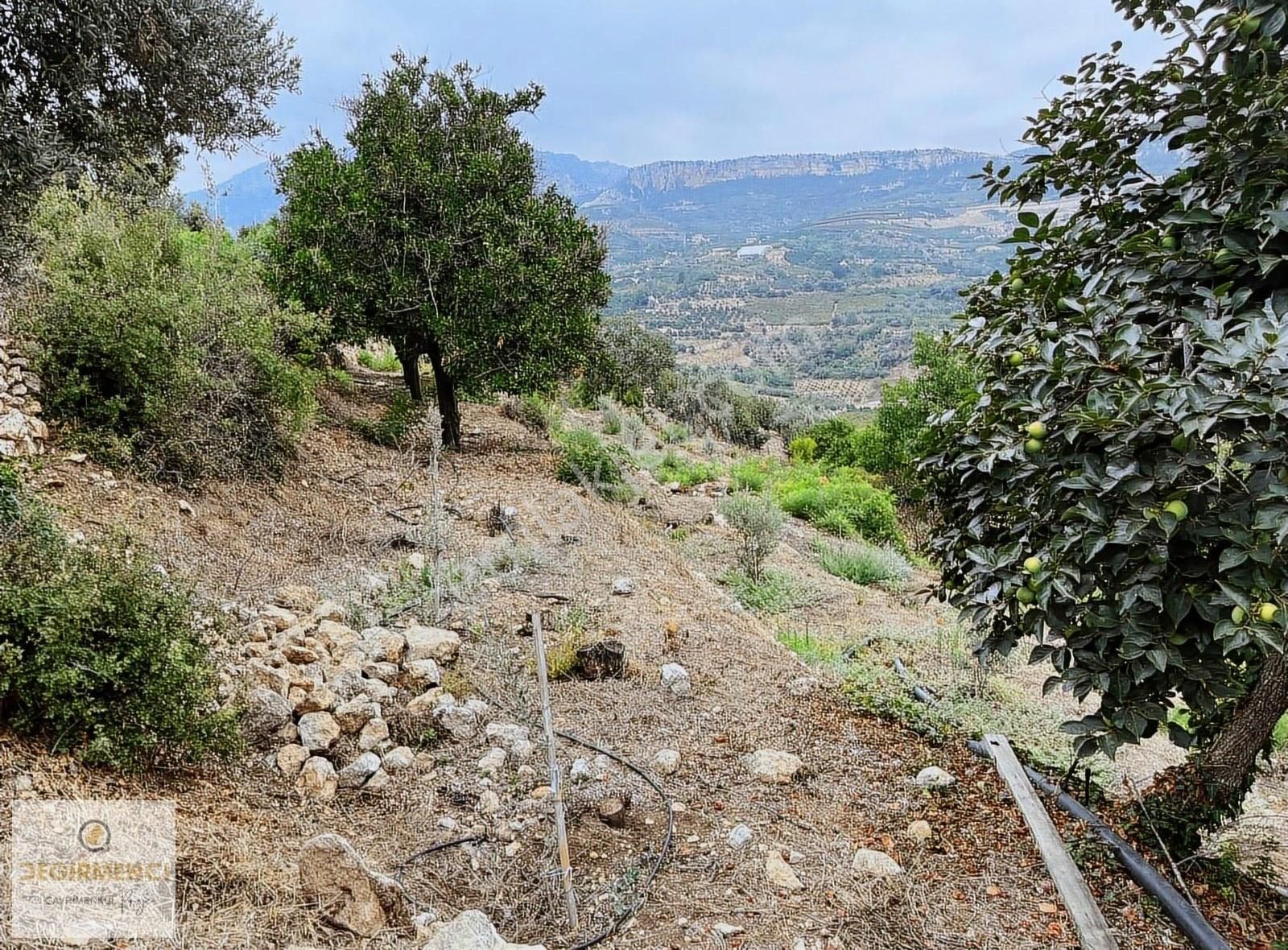 Değirmenciden Uzunkaş Da Satılık Muhteşem Manzaralı 3358m2 Bahçe - Görsel 9
