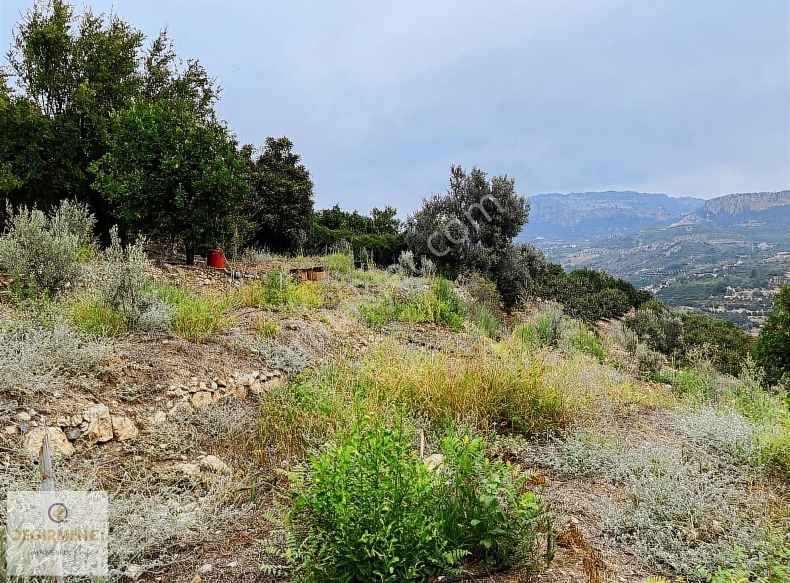 Değirmenciden Uzunkaş Da Satılık Muhteşem Manzaralı 3358m2 Bahçe - Görsel 7