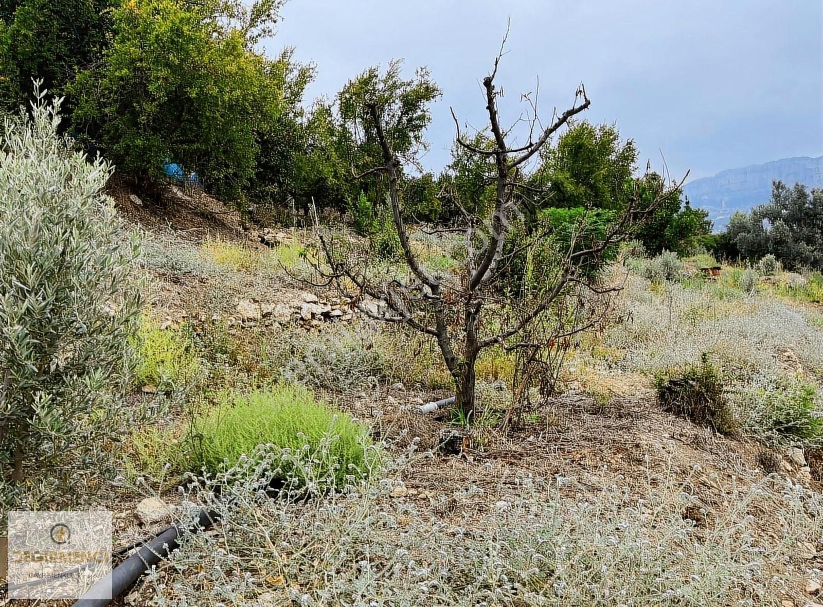 Değirmenciden Uzunkaş Da Satılık Muhteşem Manzaralı 3358m2 Bahçe - Görsel 11