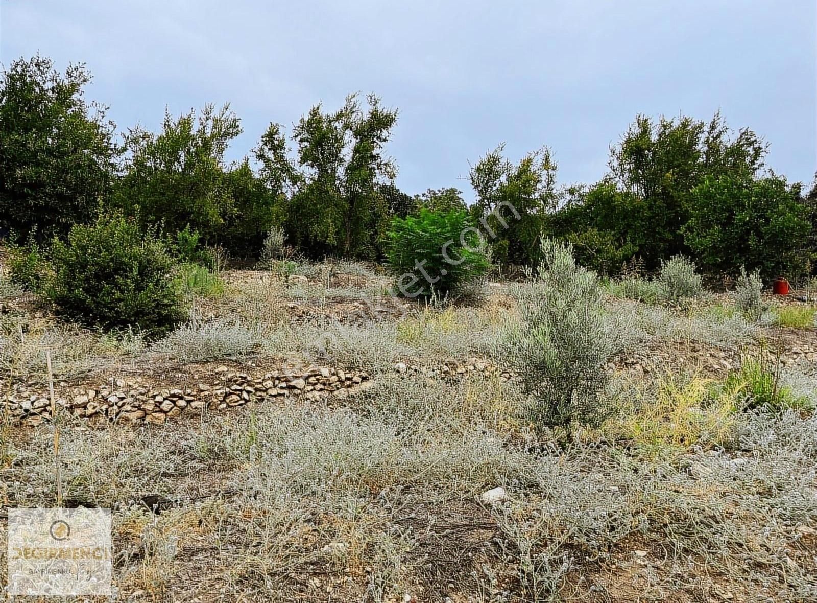 Değirmenciden Uzunkaş Da Satılık Muhteşem Manzaralı 3358m2 Bahçe - Görsel 8