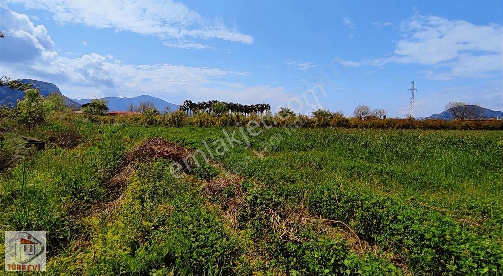 Dalyanda Satılık Tarla 7324 M2 Harika Konumda (da44) - Görsel 6