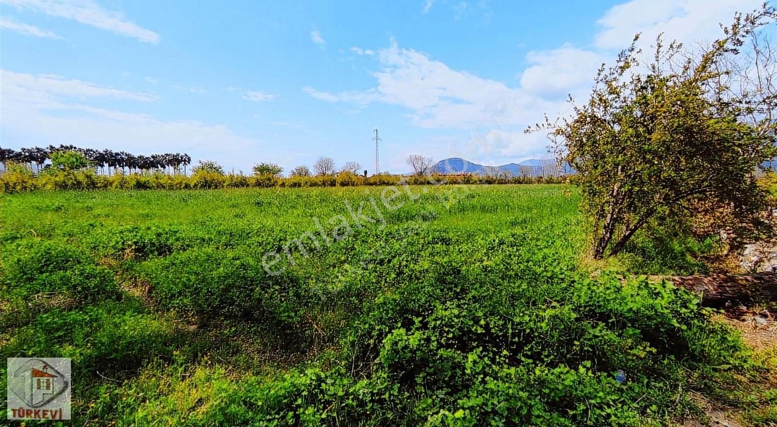 Dalyanda Satılık Tarla 7324 M2 Harika Konumda (da44) - Görsel 9