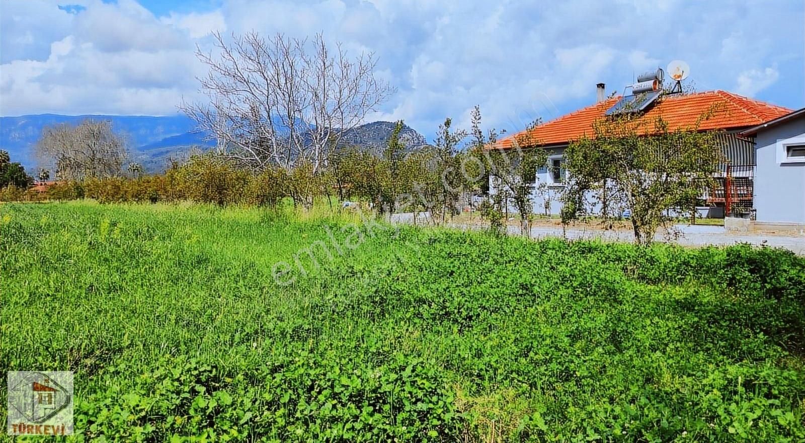 Dalyanda Satılık Tarla 7324 M2 Harika Konumda (da44) - Görsel 4