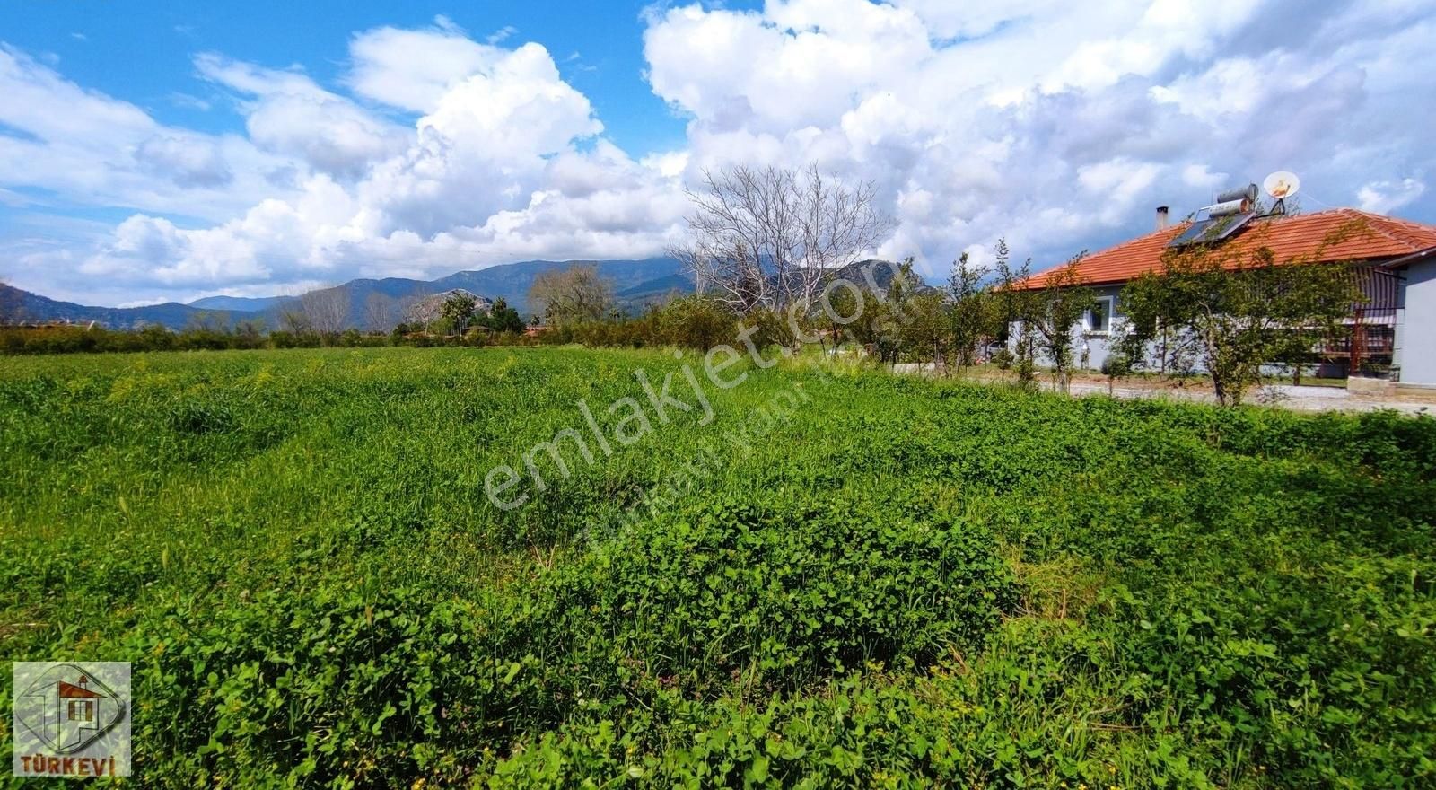 Dalyanda Satılık Tarla 7324 M2 Harika Konumda (da44)