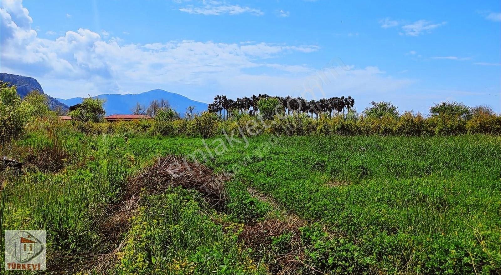 Dalyanda Satılık Tarla 7324 M2 Harika Konumda (da44) - Görsel 2