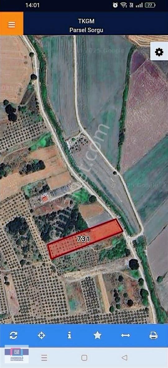 Bursa Nilüfer Çatalağılda Kadastro Yoluna Cephe Satılık Tarla