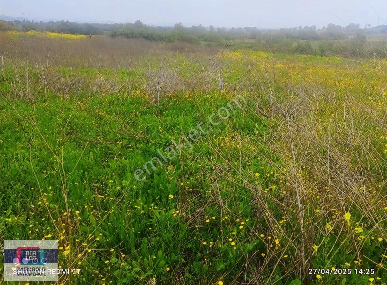 Mustafakemalpaşa Satılık 3237m2 Yola Cephe&suyu İçinde Tarla