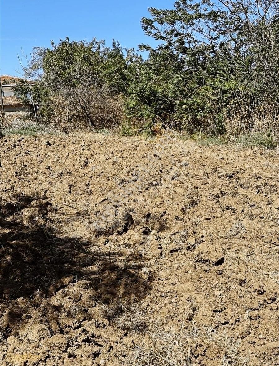 Seçil Bora'dan Demirtepe Köy İçi İmarlı Satılık Parsel - Görsel 4