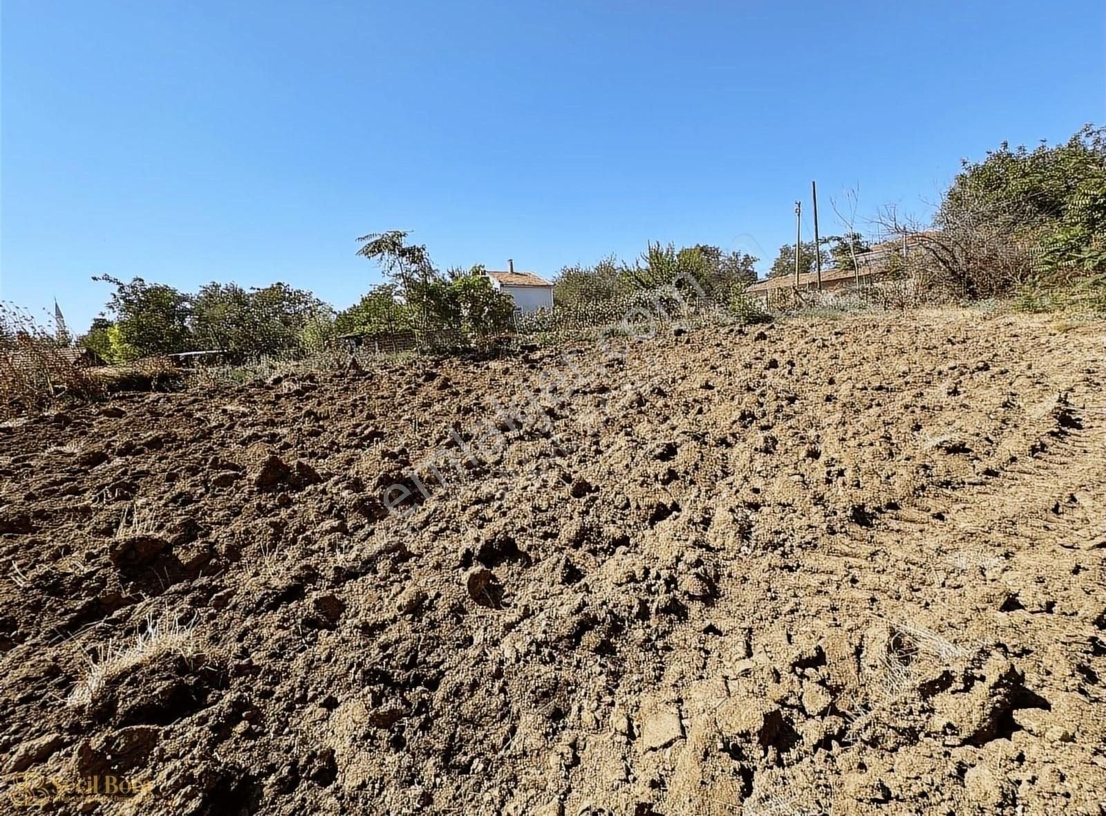 Seçil Bora'dan Demirtepe Köy İçi İmarlı Satılık Parsel - Görsel 3