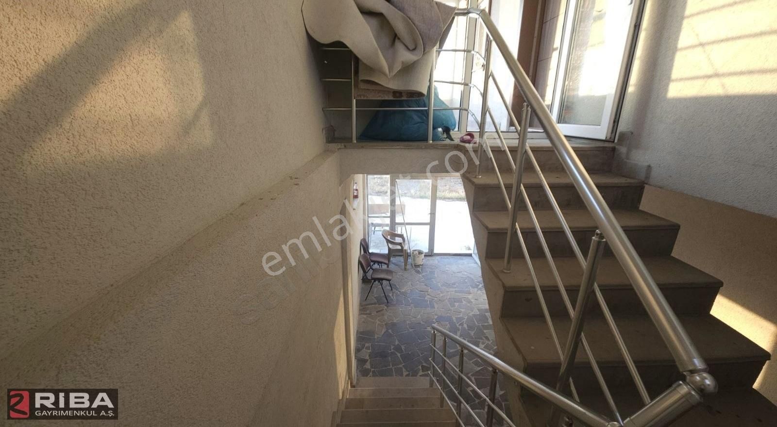 Tam Teskilat Lı Buyukbas Besı Çiftliği - Görsel 12