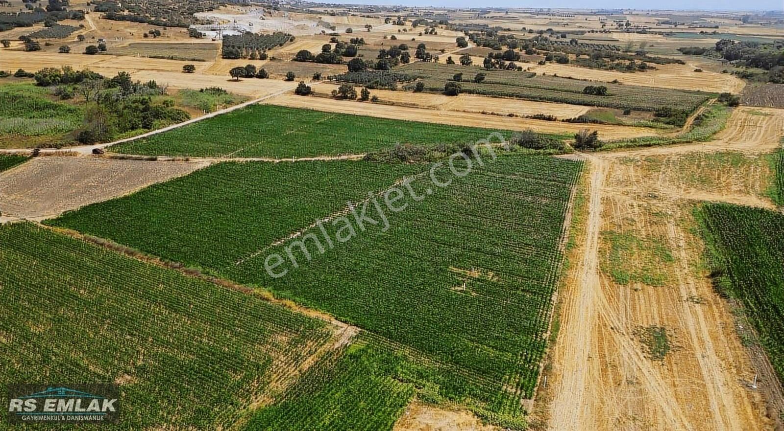 Karacabey Harmanlı'da Yolu Olan Satılık 7700 M2 Fırsat Tarla - Görsel 11