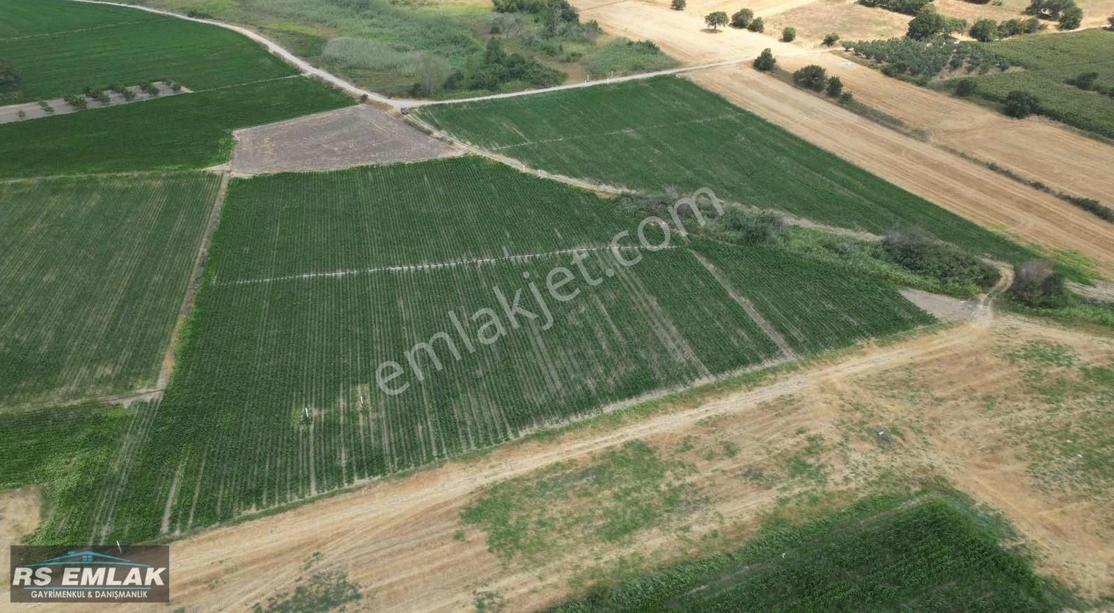 Karacabey Harmanlı'da Yolu Olan Satılık 7700 M2 Fırsat Tarla - Görsel 9