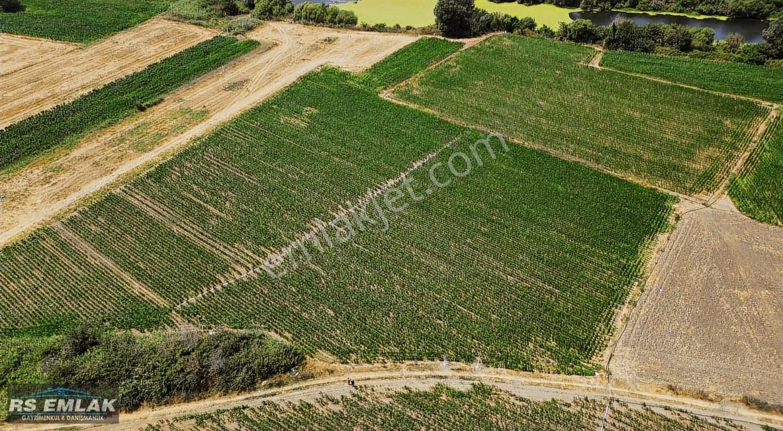 Karacabey Harmanlı'da Yolu Olan Satılık 7700 M2 Fırsat Tarla - Görsel 2