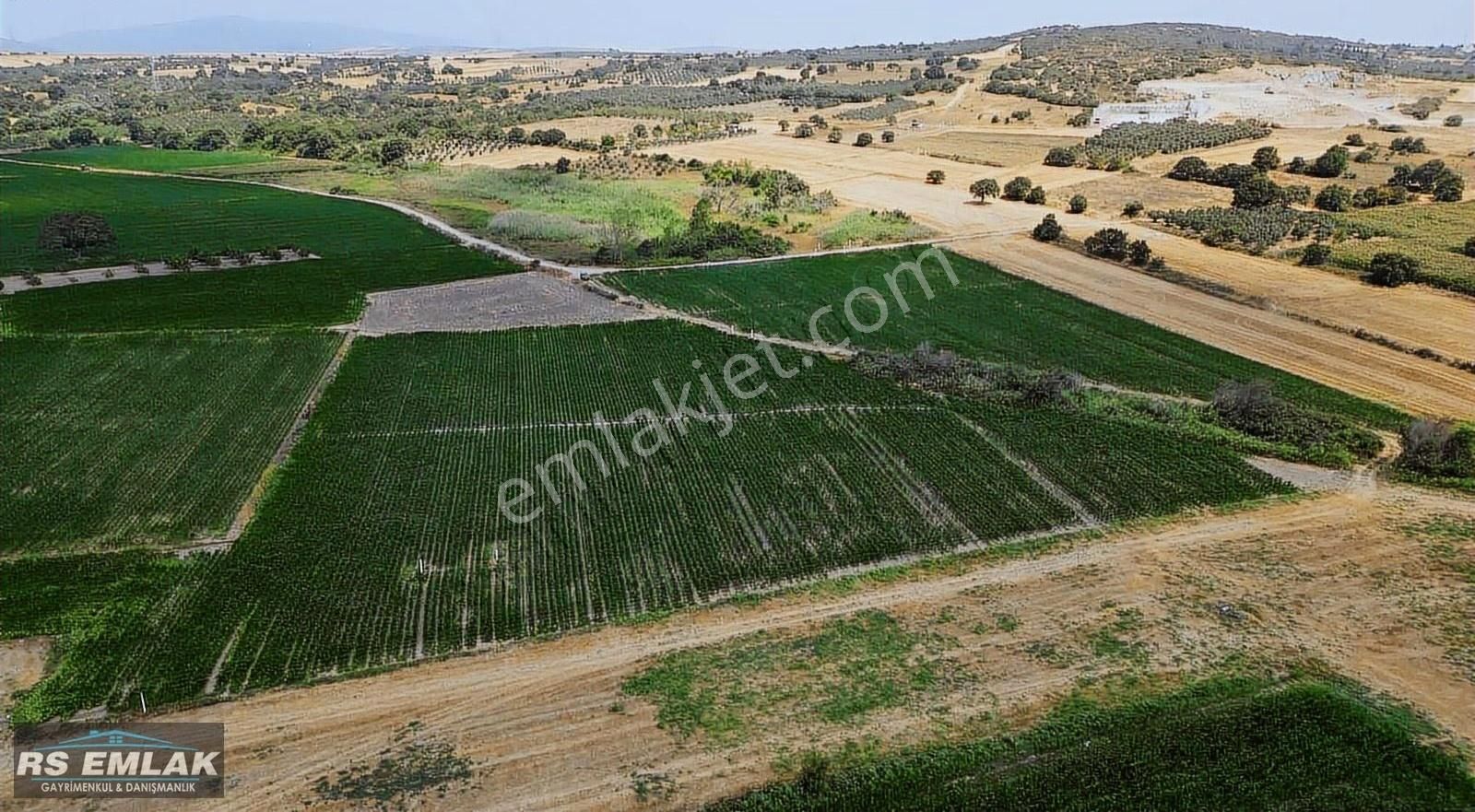 Karacabey Harmanlı'da Yolu Olan Satılık 7700 M2 Fırsat Tarla - Görsel 10