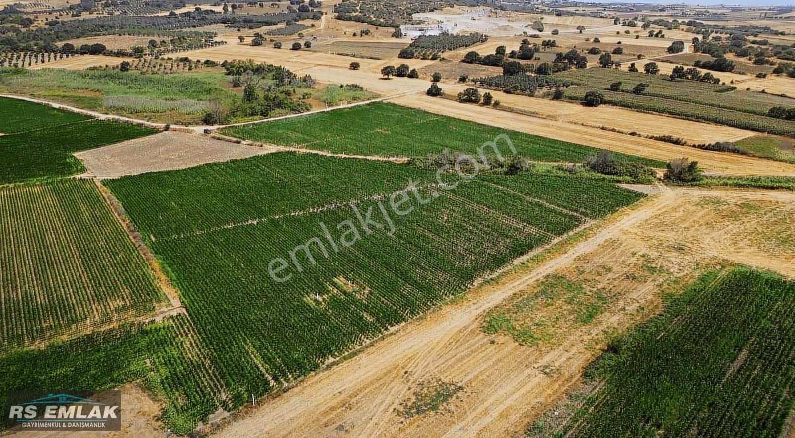 Karacabey Harmanlı'da Yolu Olan Satılık 7700 M2 Fırsat Tarla - Görsel 8