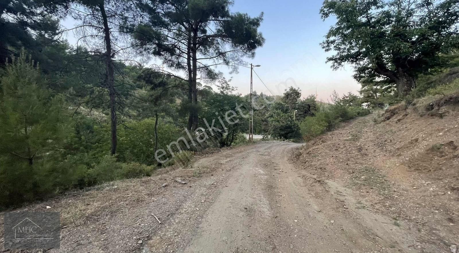 Mhc'den Satılık 1.5 Dönüm Kestanelik