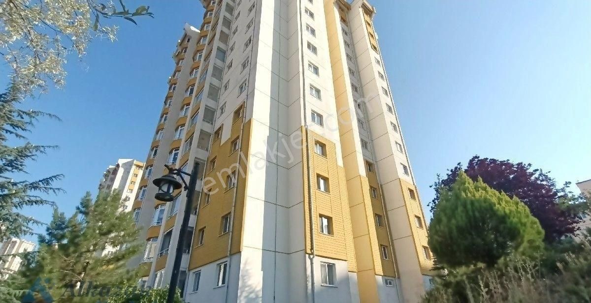 Toki Turkuaz Ebeveyn Banyolu Kiralık Geniş 3+1