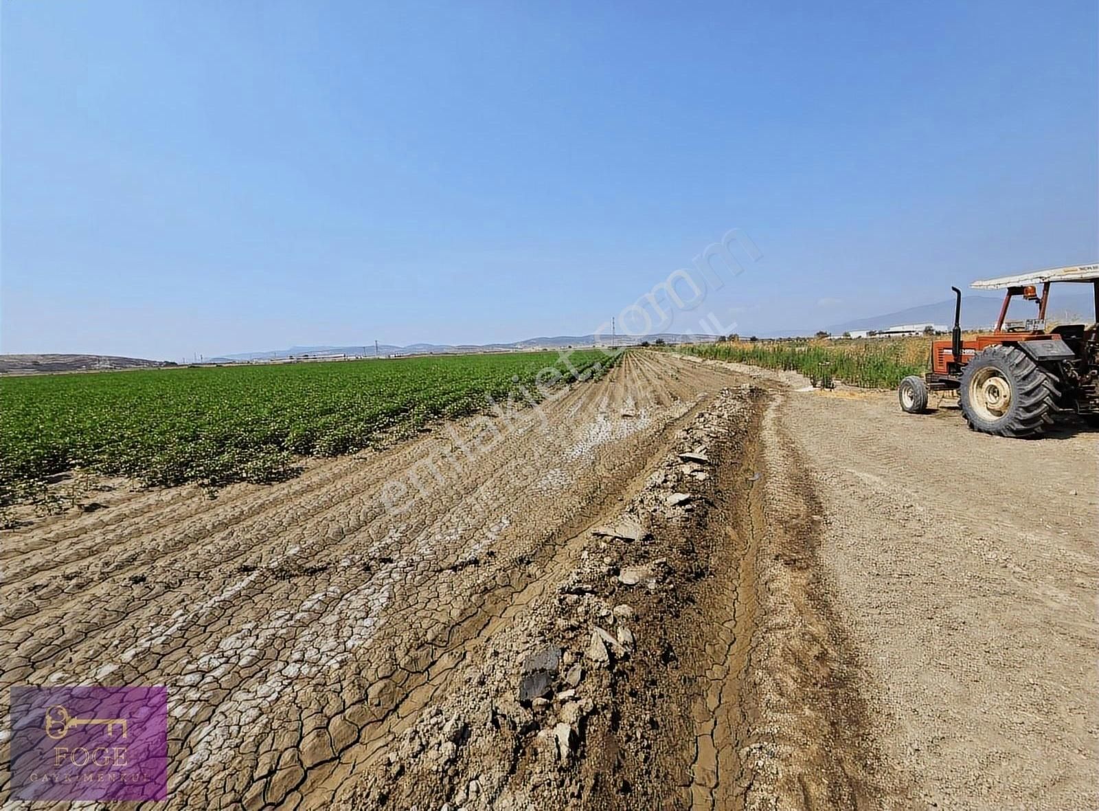 Menemen Kesik'te Anayola Cepheli Değerli Tek Tapu Satılık Tarla