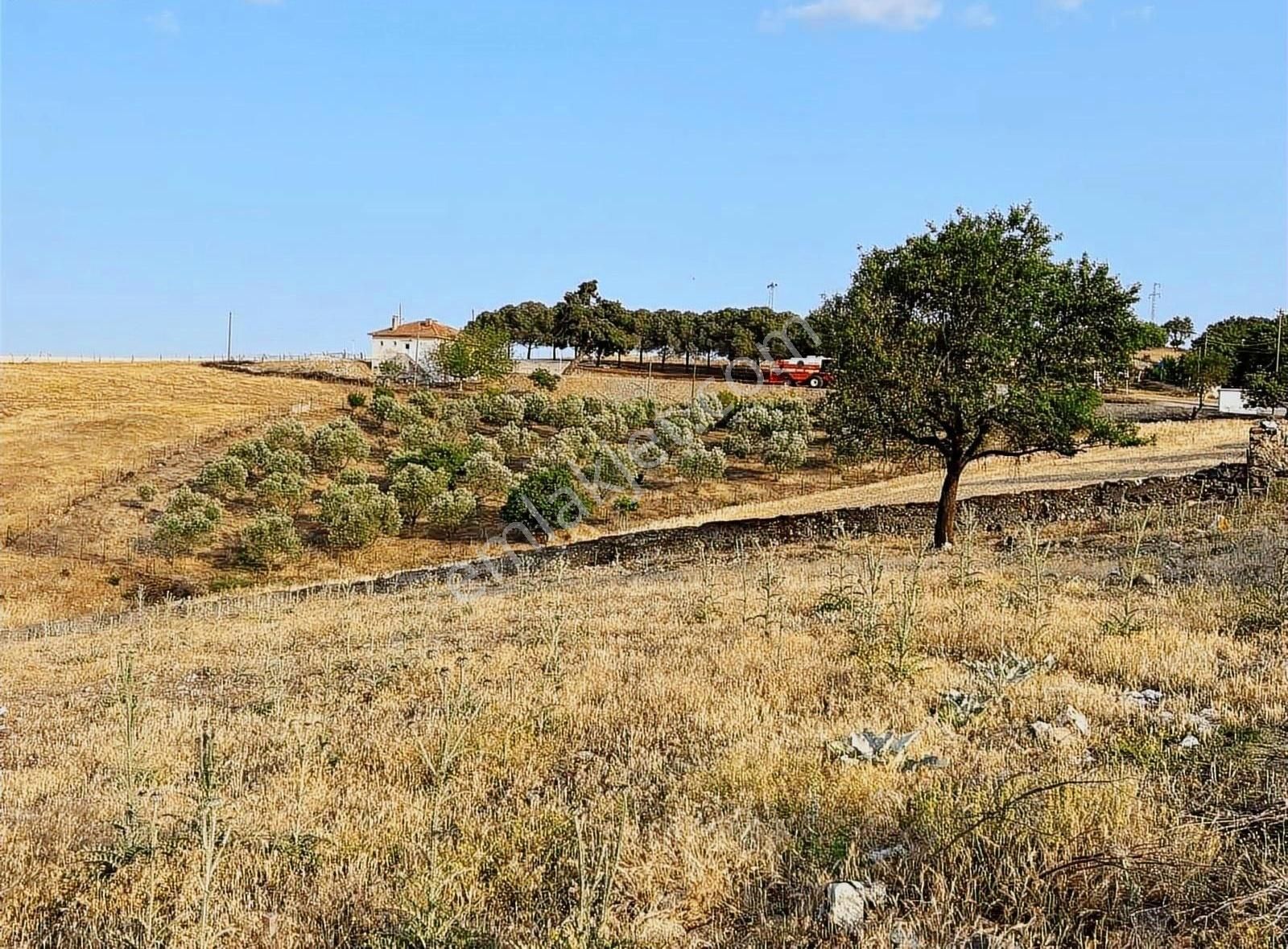 Ezine Çamköy İmarlı Arsa - Görsel 28