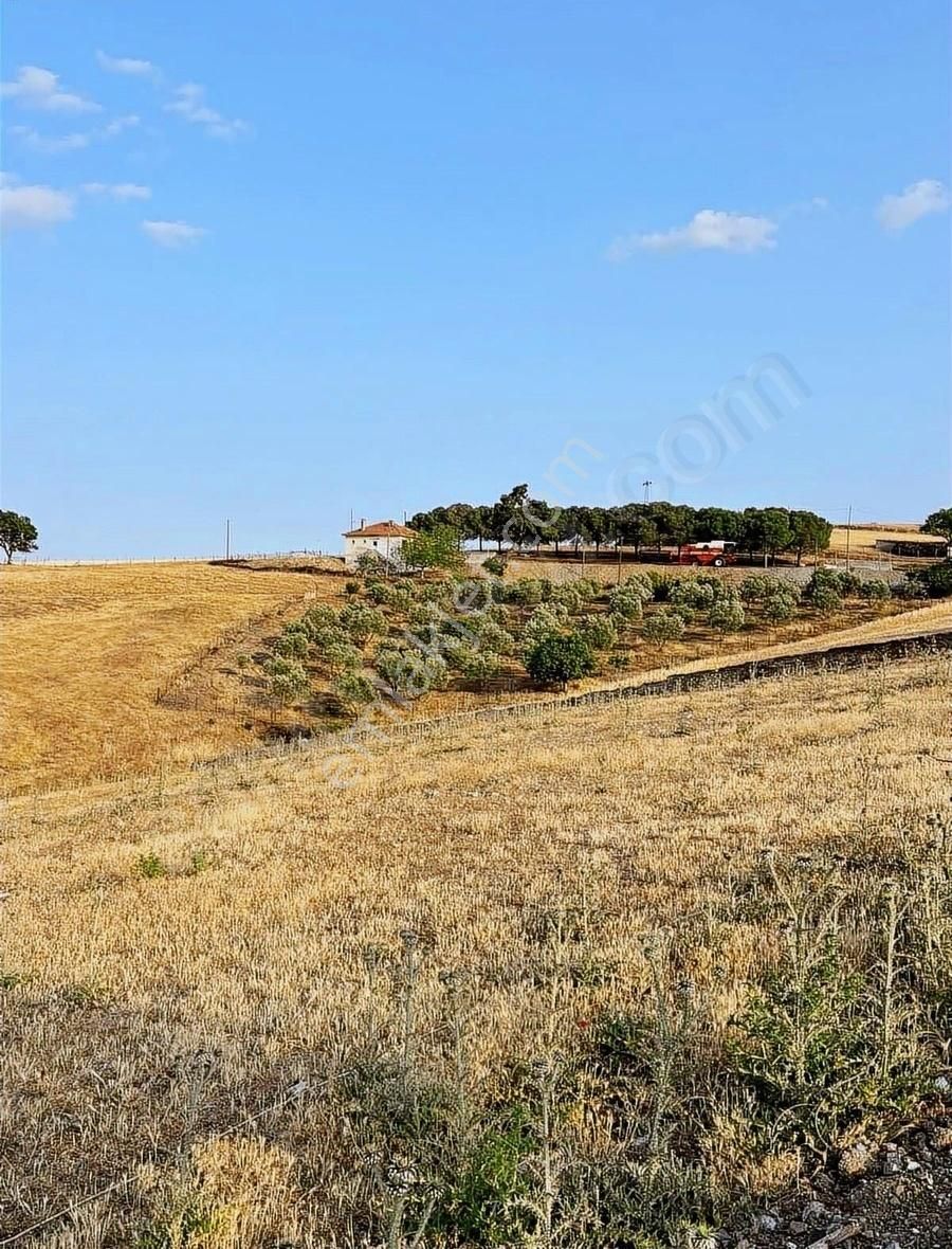 Ezine Çamköy İmarlı Arsa - Görsel 18