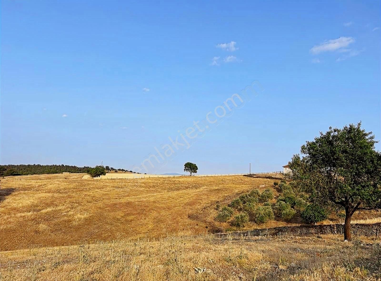 Ezine Çamköy İmarlı Arsa - Görsel 13