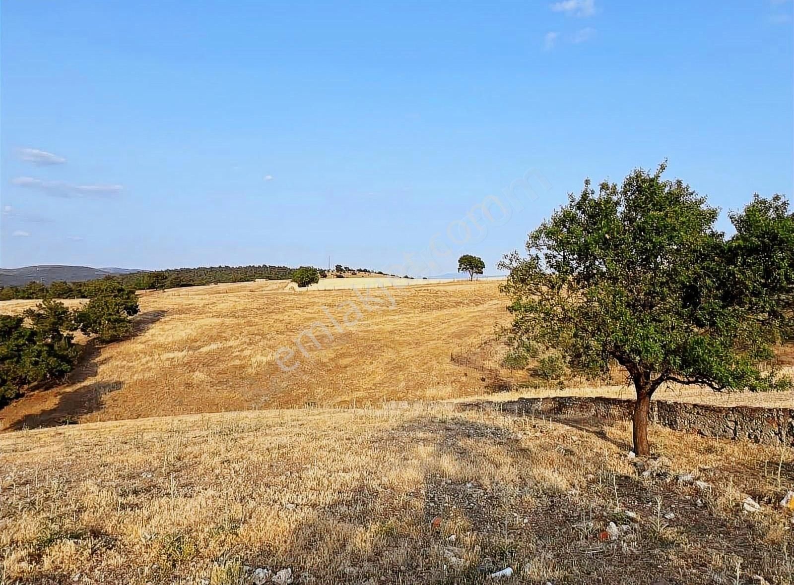 Ezine Çamköy İmarlı Arsa - Görsel 2