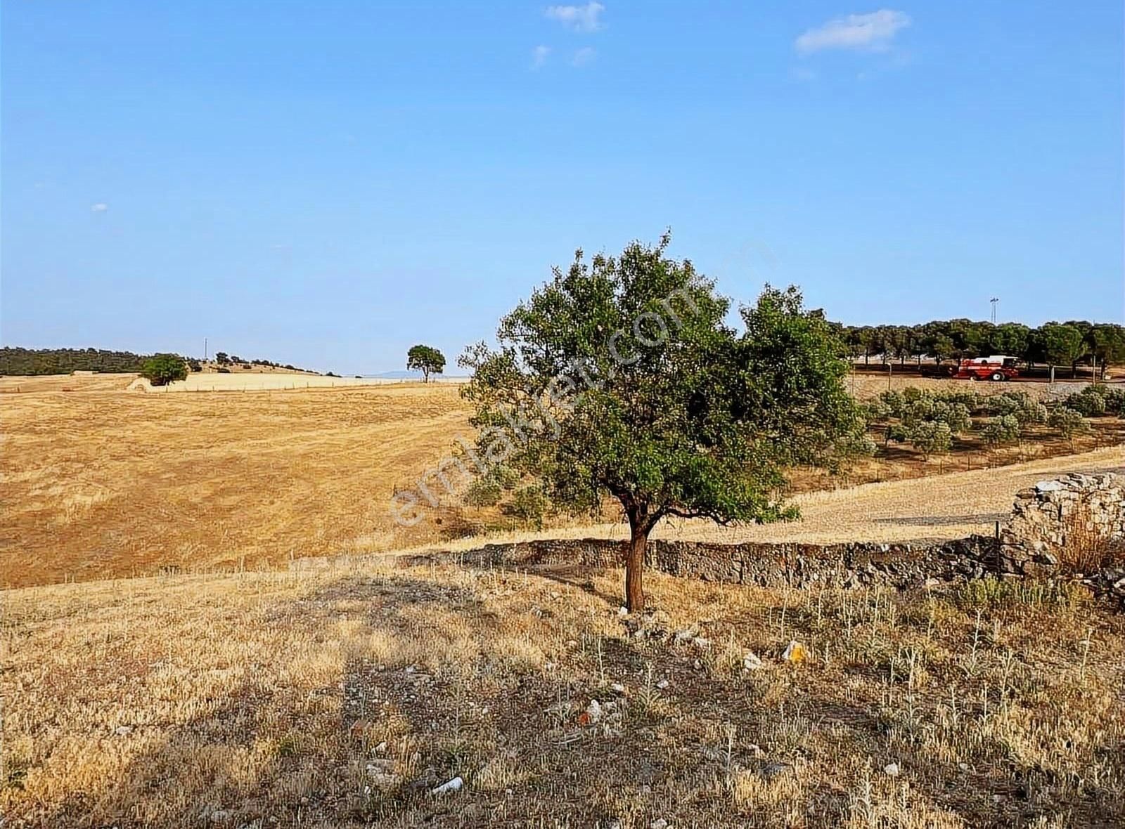 Ezine Çamköy İmarlı Arsa - Görsel 16