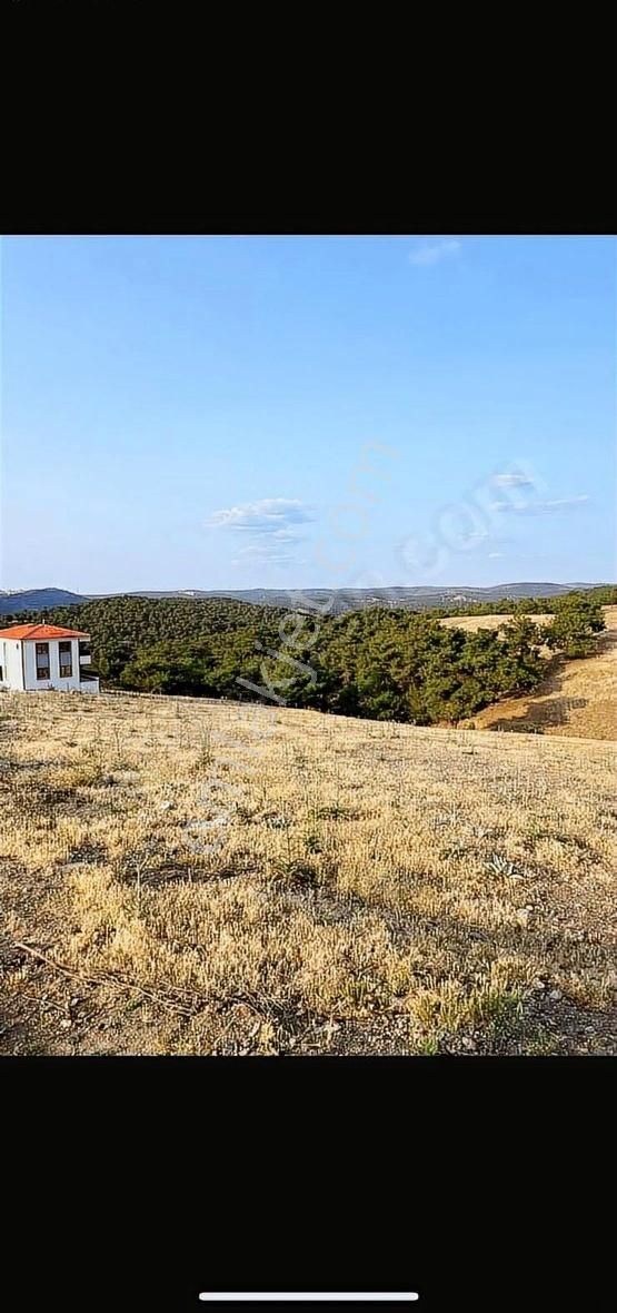 Ezine Çamköy İmarlı Arsa