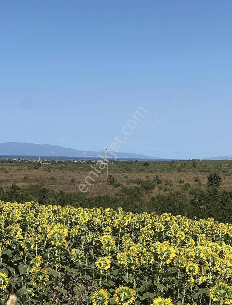 Çanakkale Biga Mahallesi'nde 10.498 M2 Arazi - Görsel 3