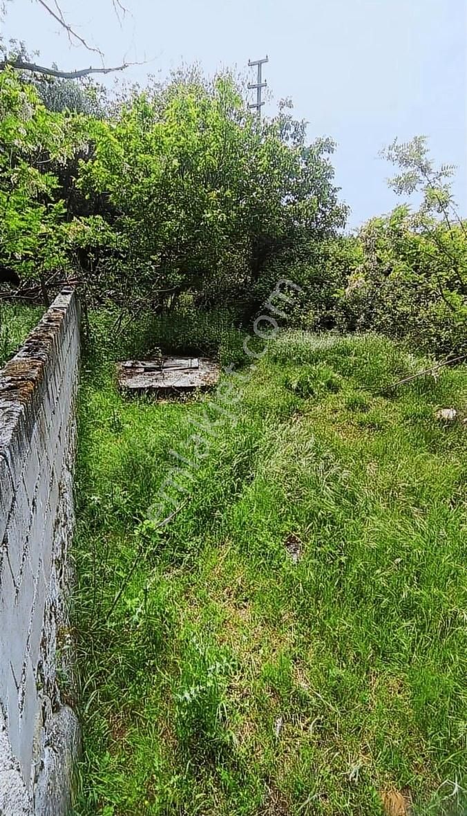 İzmir Bergama Aşağıbey Yapı Kayıtlı Arsa - Görsel 4