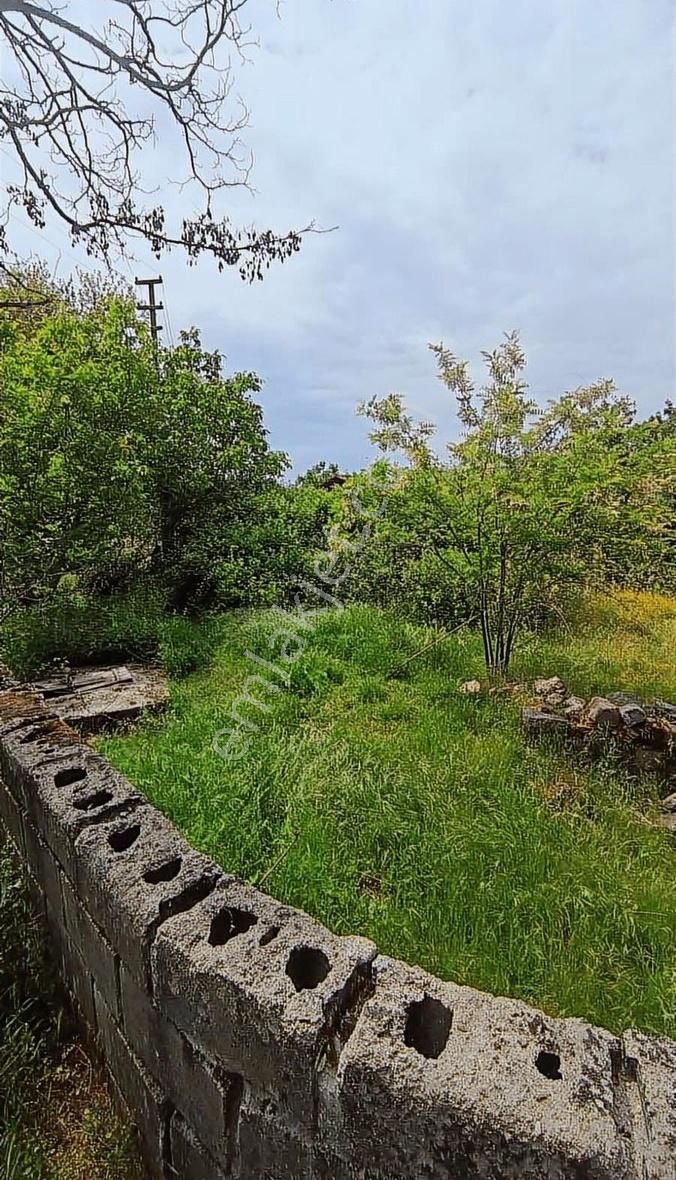 İzmir Bergama Aşağıbey Yapı Kayıtlı Arsa - Görsel 3