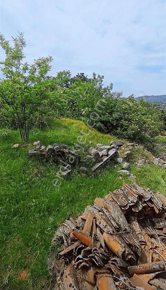 İzmir Bergama Aşağıbey Yapı Kayıtlı Arsa - Görsel 5