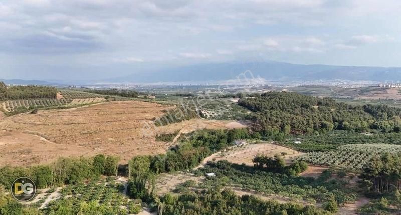 Bursa Osmangazi Aksungur Köyünde Satılık Hobi Bahçeleri - Görsel 5