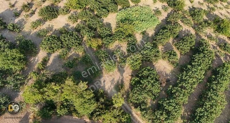 Bursa Osmangazi Aksungur Köyünde Satılık Hobi Bahçeleri - Görsel 2