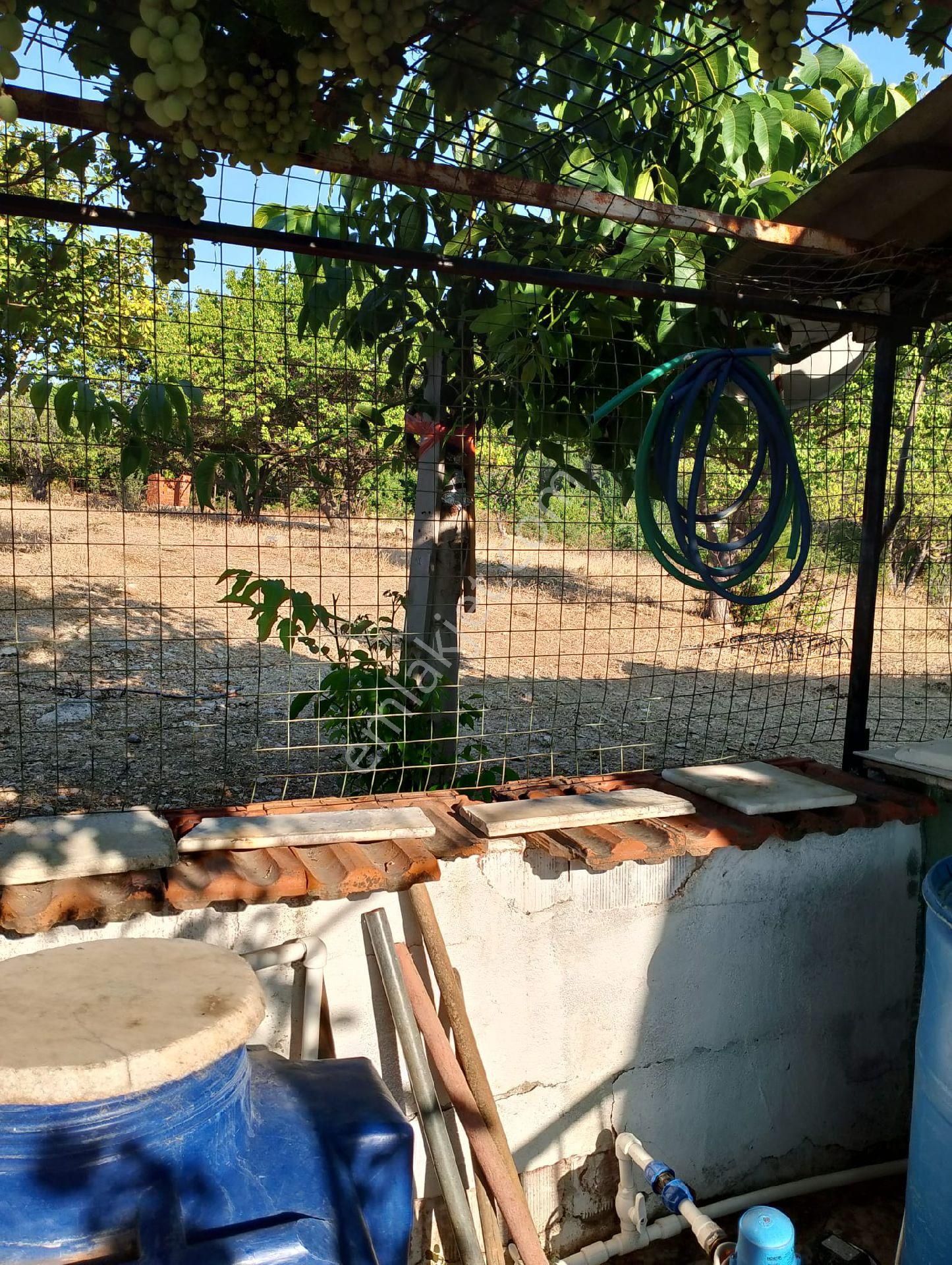 Manisa Sultan Yaylası 1000m2 Arsa İci 60m2 Ev 120.000tl Son - Görsel 7