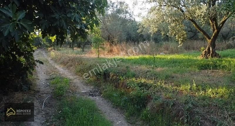 Hipotez'den Orhangazi Keramet'te Satılık Hisse...