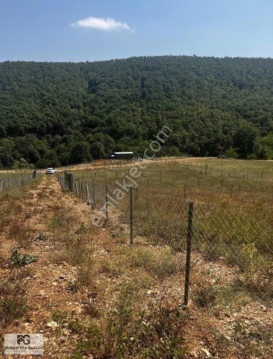 Prestij Gruptan Kestel Yapmurluda Satılık Hobi Bahçesi