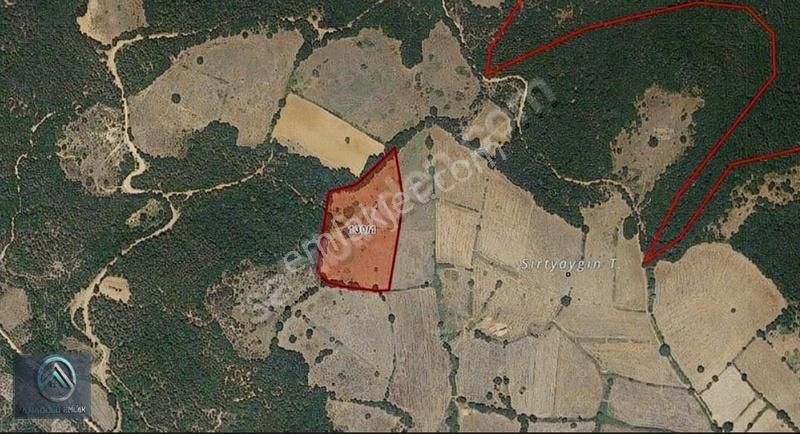 Çanakkale Yenice Boynanlar 12.758 M2 Yatırım Fırsatı