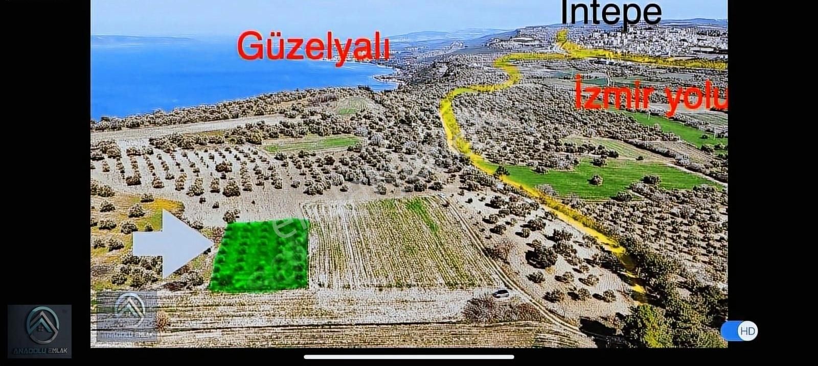 Çanakkale Erenköyde Zeytinli Tarla Köye Yakın - Görsel 4