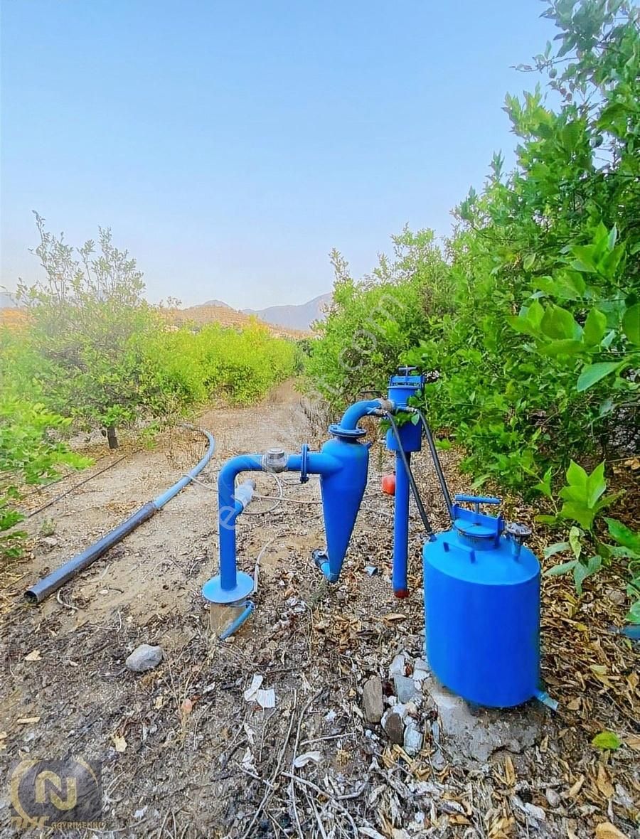 Avcılarsuyunda Satılık Bahçe Ve Ev