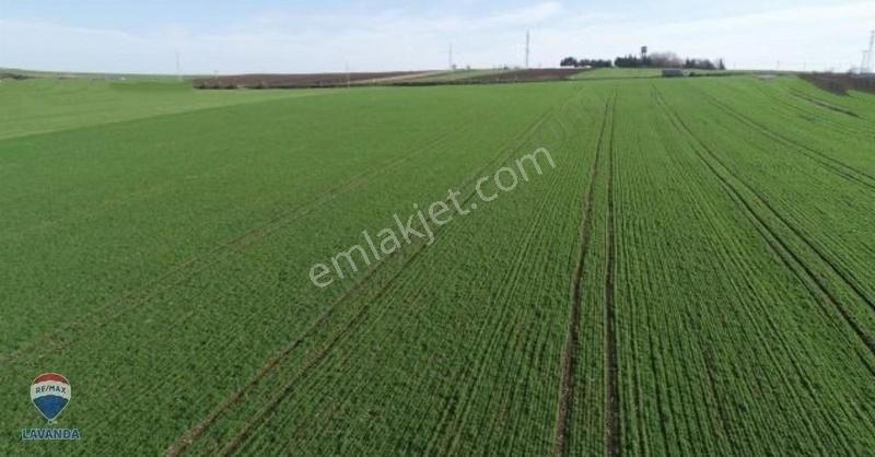 Remax Lavanda Tekirdağ Ergene Kırkgöz'de Satılık Fırsat Tarla