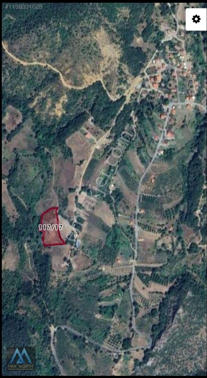 Sakarya Pamukova Kazımiye 6103 M2 Müstakil Parsel