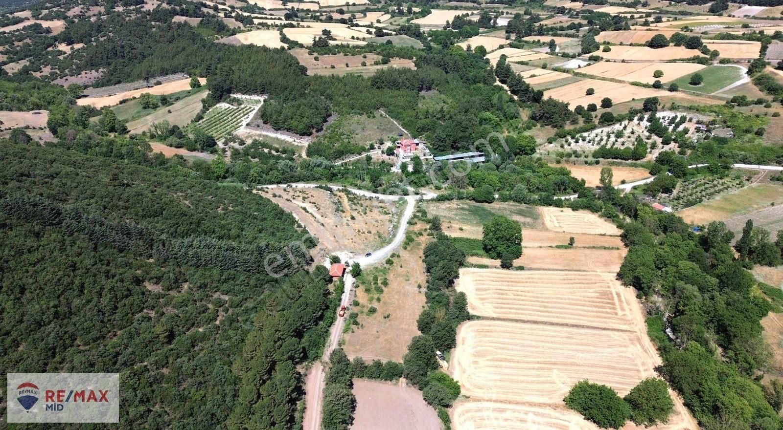 Re/max Mid - Yeşiller Mh. Satılık Asfalta Cepheli 9945 M2 Tarla