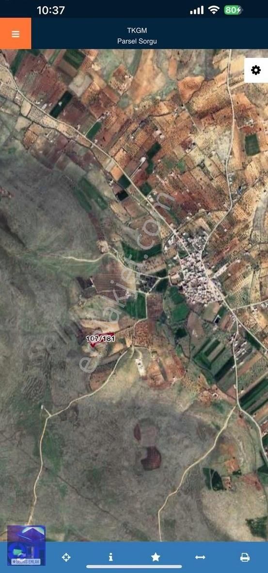 Belkıs Emlaktan Gülpınar Satılık Yatırımlık 4,307m2 Tarla