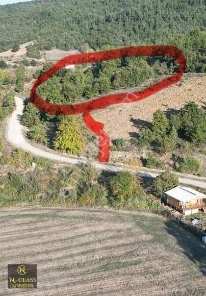 Bursa Kestel Gölçükte Satılık Mükemmel Konumda Tarla