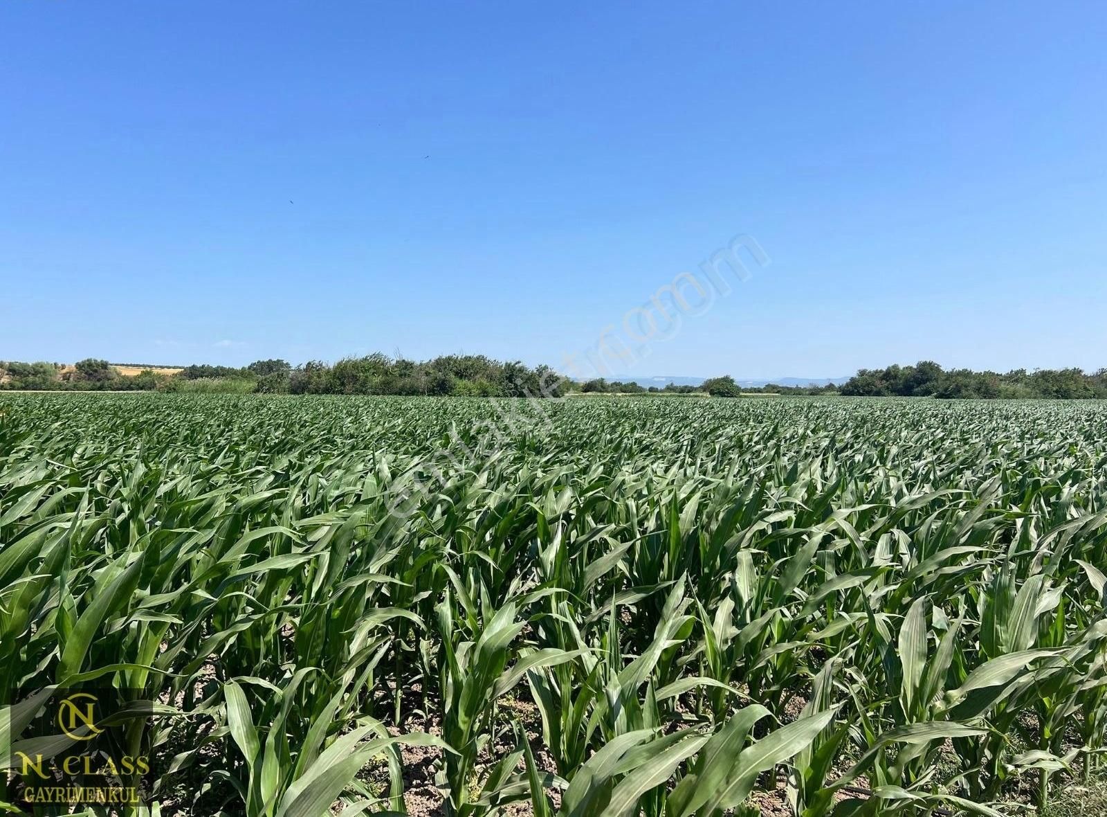 Bursa Karacabey Harmanlı Kadastro Yoluna Cephe Satılık Tarla - Görsel 2