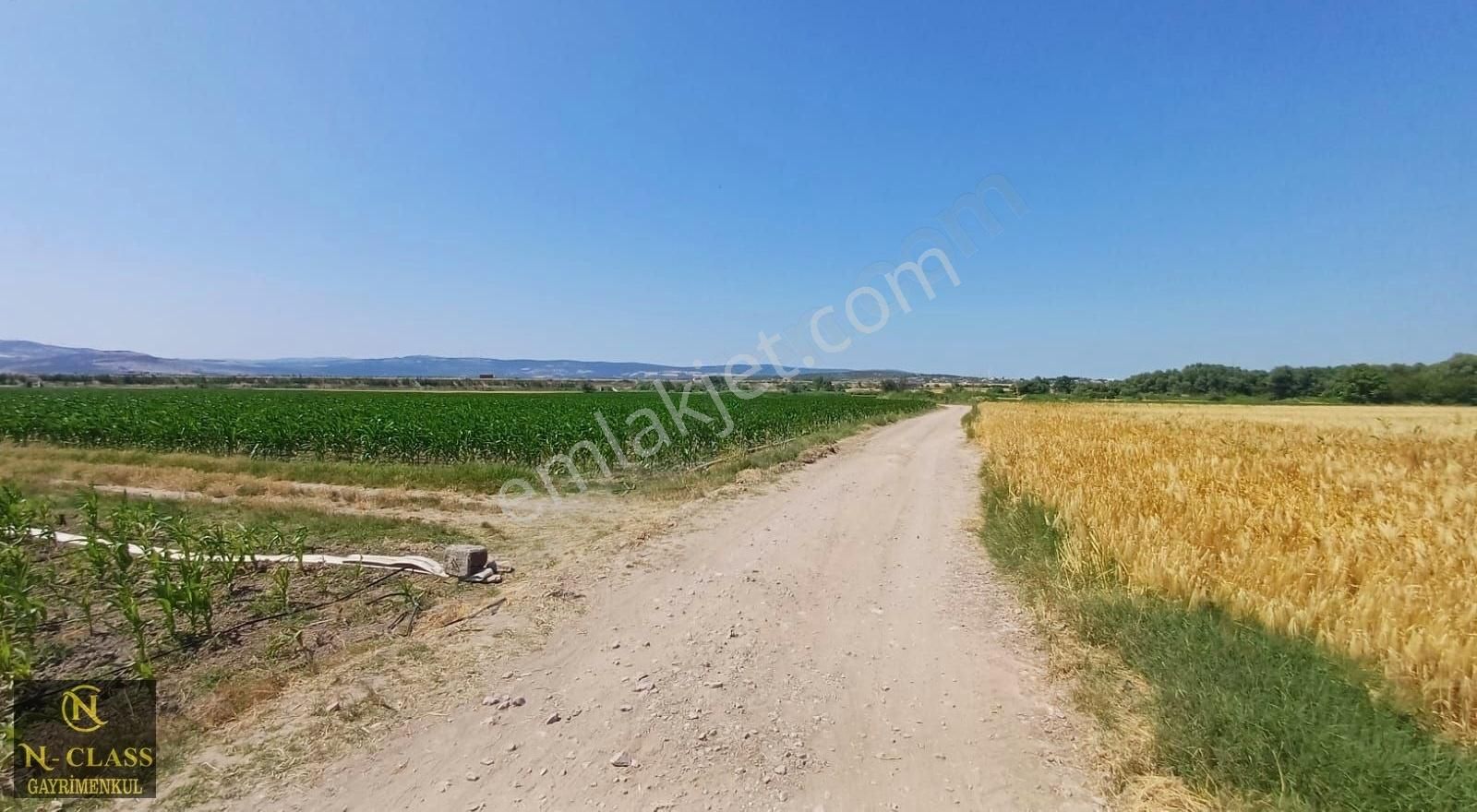 Bursa Karacabey Harmanlı Kadastro Yoluna Cephe Satılık Tarla - Görsel 6