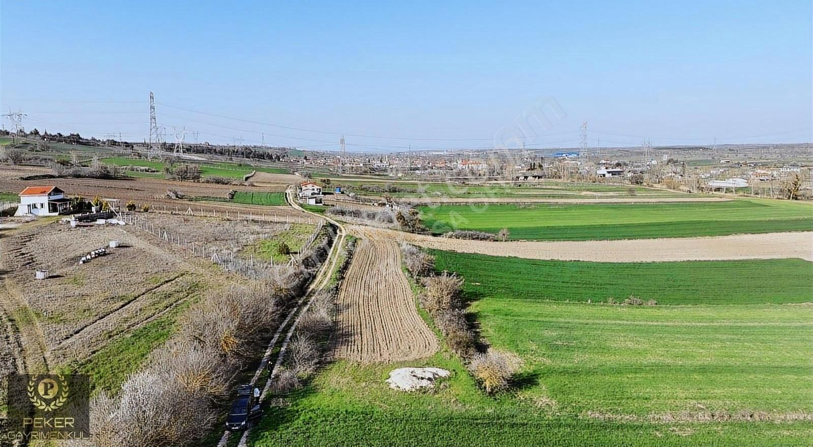 Kırklareli Lüleburgaz Tatarköy Tek Tapu Acil Satılık